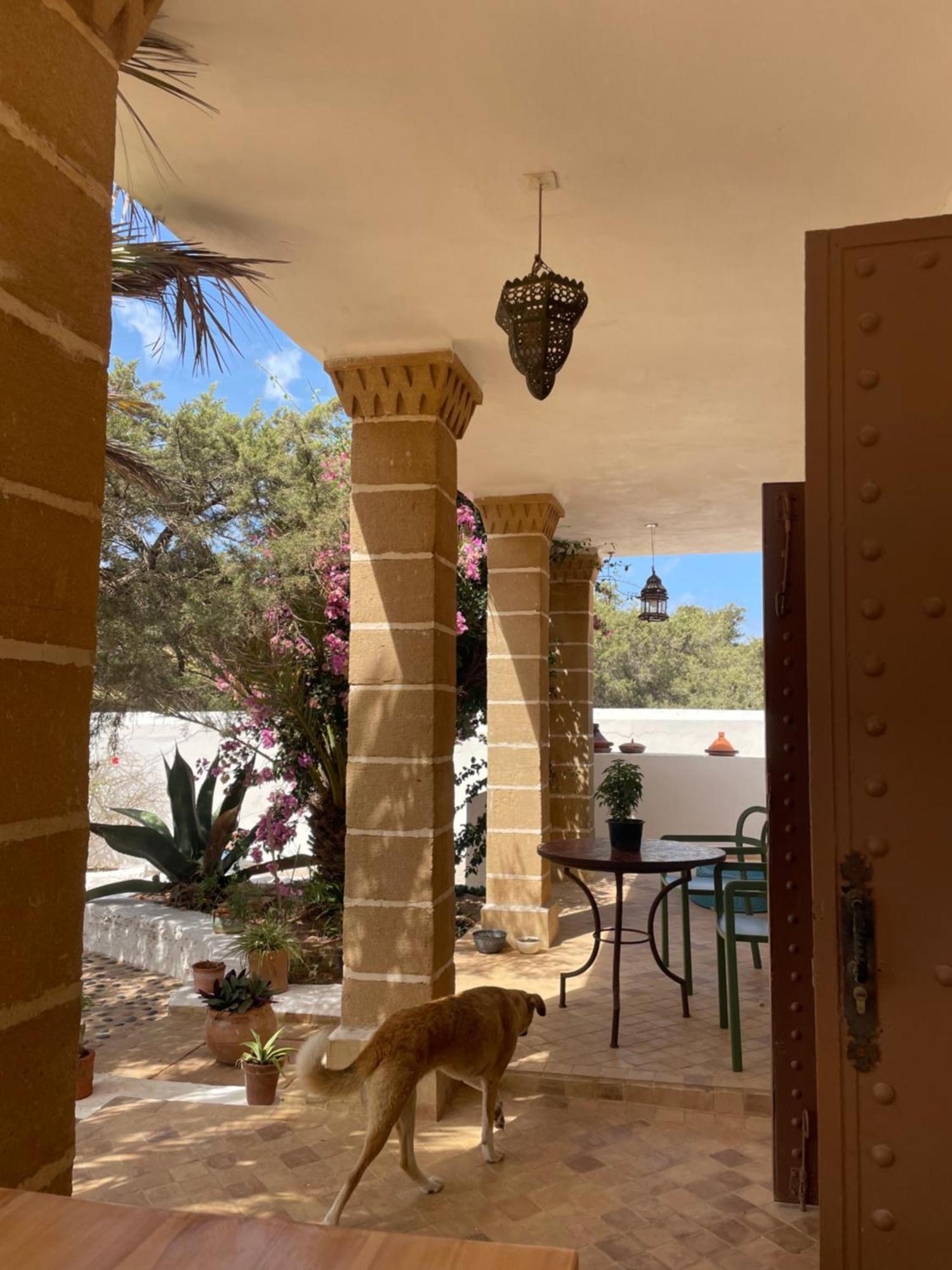 Hotel Villa Soleil Сиди Кауки Екстериор снимка